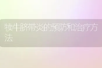 犊牛脐带炎的预防和治疗方法