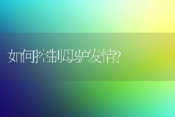 如何控制母驴发情?