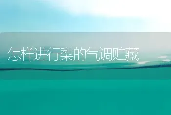 怎样进行梨的气调贮藏