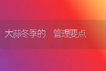 大蒜冬季的 管理要点