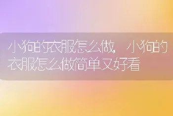 小狗的衣服怎么做,小狗的衣服怎么做简单又好看