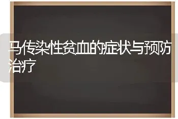 马传染性贫血的症状与预防治疗