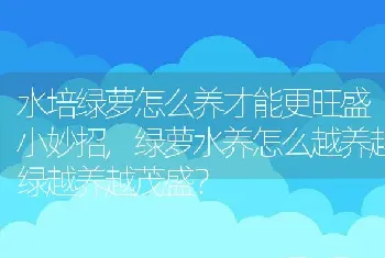 水培绿萝怎么养才能更旺盛小妙招