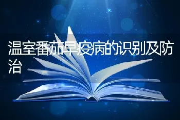 温室番茄早疫病的识别及防治