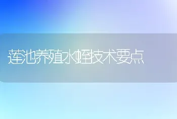 莲池养殖水蛭技术要点