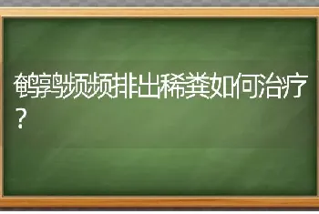 鹌鹑频频排出稀粪如何治疗?