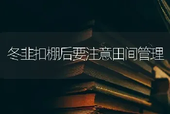 冬韭扣棚后要注意田间管理