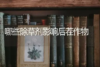 哪些除草剂影响后茬作物