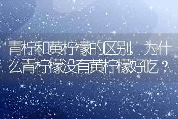 青柠和黄柠檬的区别