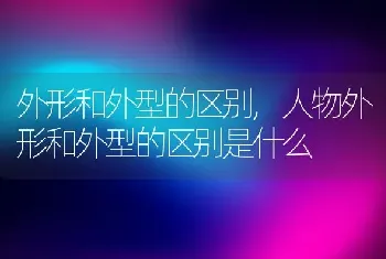 外形和外型的区别,人物外形和外型的区别是什么