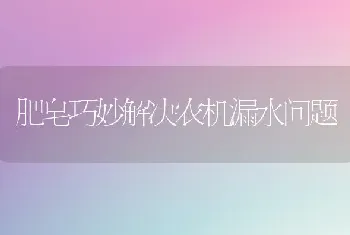 肥皂巧妙解决农机漏水问题