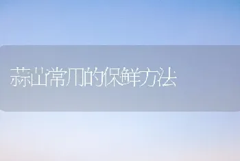 蒜苗常用的保鲜方法