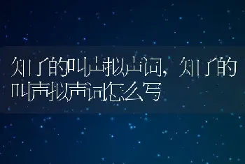 知了的叫声拟声词