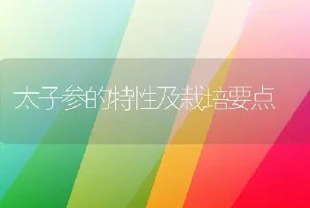 太子参的特性及栽培要点