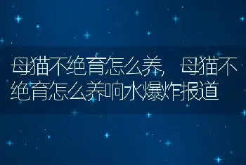 母猫不绝育怎么养,母猫不绝育怎么养响水爆炸报道