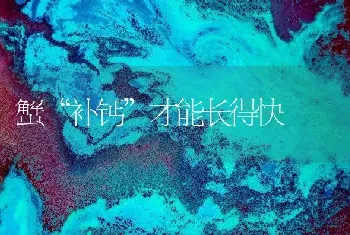 蟹“补钙”才能长得快