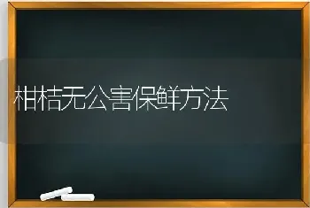 柑桔无公害保鲜方法