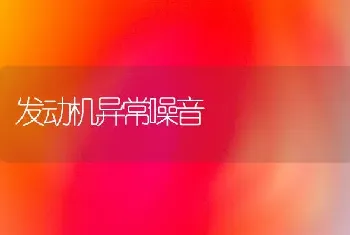 发动机异常噪音