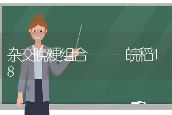 杂交晚粳组合---皖稻48