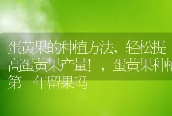 蛋黄果的种植方法,轻松提高蛋黄果产量!