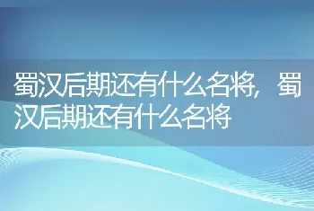 蜀汉后期还有什么名将