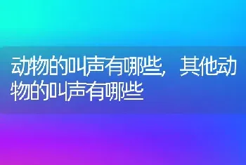 动物的叫声有哪些,其他动物的叫声有哪些