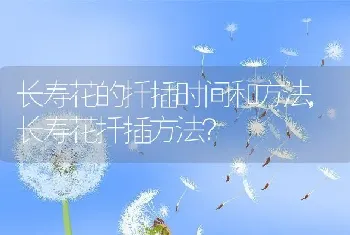 长寿花的扦插时间和方法