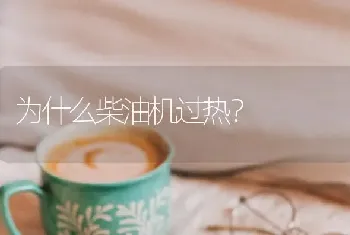 为什么柴油机过热?