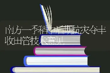 南方一季稻中后期抗灾夺丰收田管技术意见