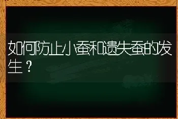 如何防止小蚕和遗失蚕的发生?