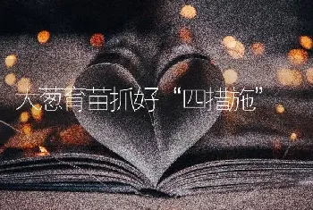 大葱育苗抓好“四措施”