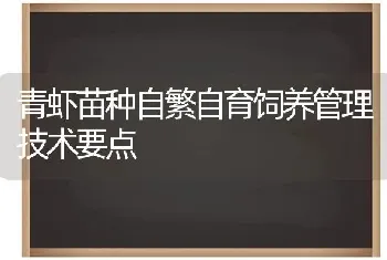 青虾苗种自繁自育饲养管理技术要点