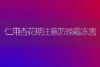 仁用杏花期注意防晚霜冻害