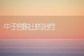 牛子宫脱出的治疗