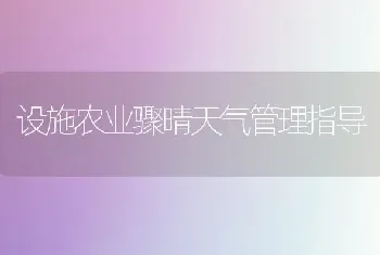 设施农业骤晴天气管理指导