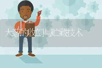 大葱的收刨与贮藏技术