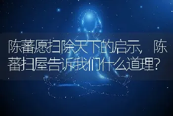 陈蕃愿扫除天下的启示