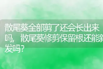 散尾葵全部剪了还会长出来吗