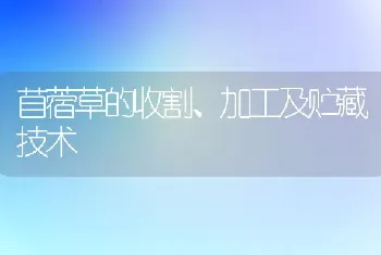 苜蓿草的收割、加工及贮藏技术