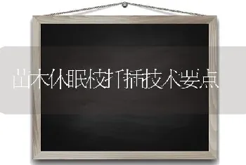 苗木休眠枝扦插技术要点