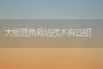 大棚豆角栽培技术有四招