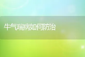 牛气喘病如何防治