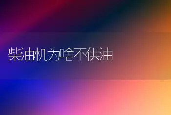 柴油机为啥不供油