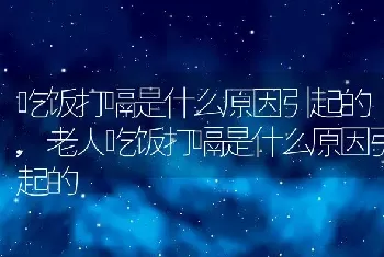 吃饭打嗝是什么原因引起的,老人吃饭打嗝是什么原因引起的