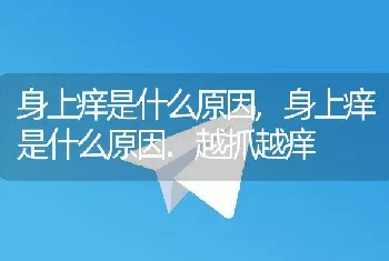 身上痒是什么原因,身上痒是什么原因.越抓越痒