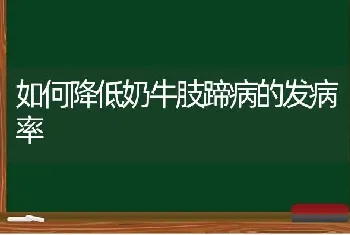 如何降低奶牛肢蹄病的发病率