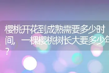 樱桃开花到成熟需要多少时间