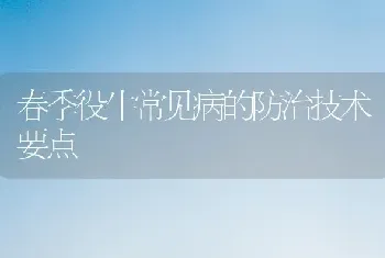 春季役牛常见病的防治技术要点