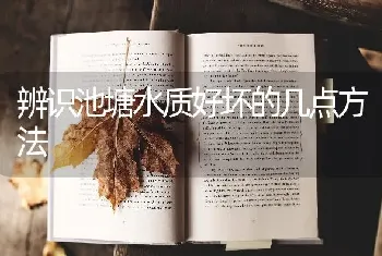 辨识池塘水质好坏的几点方法