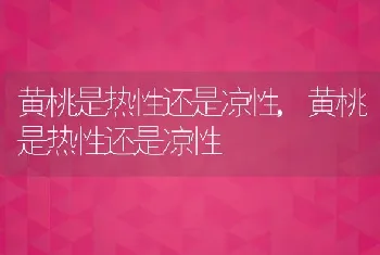 黄桃是热性还是凉性